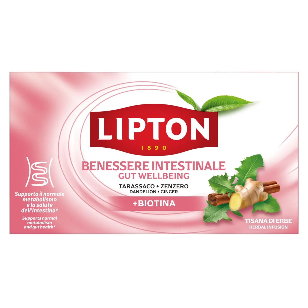 GUT HEALTH BIOTIN 17 sáčkov x 1,9 g