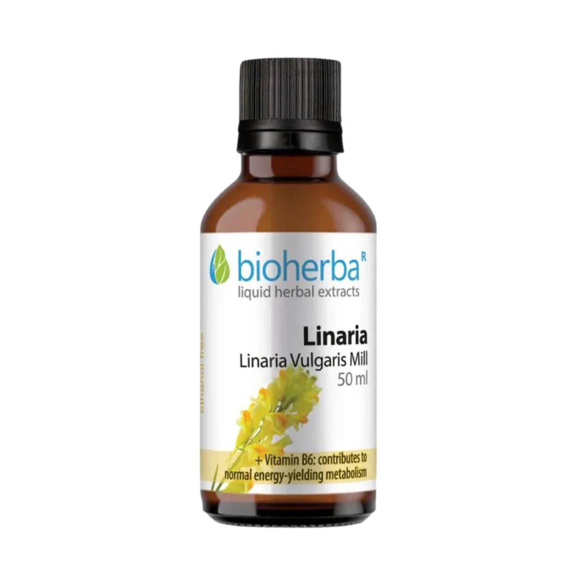 Ľanovník - tinktúra kvapky - 50 ml - Bioherba