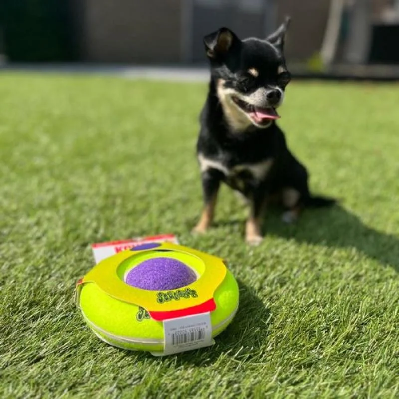 KONG AirDog pískacia hračka pre psov M/L - 6,4x16,5x16,5cm