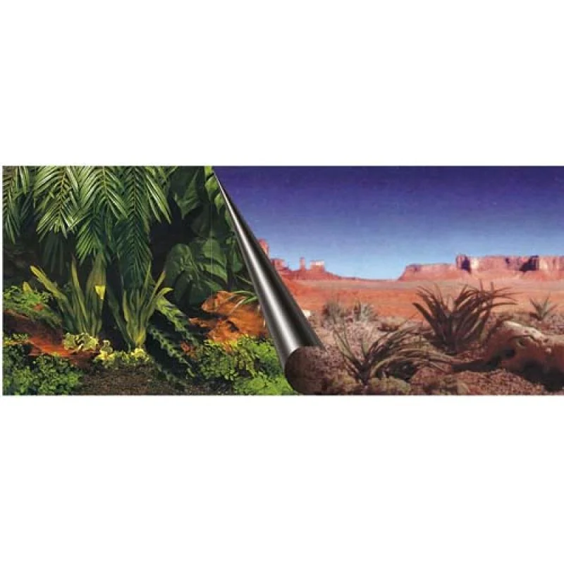 EBI Photo Decor Jungle + Dessert 120 x 50cm