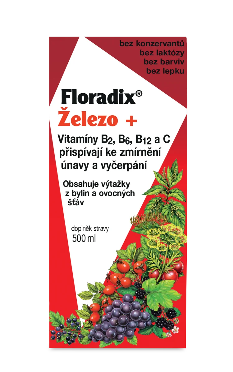 SALUS Floradix Železo + 1×500 ml, tekutá forma
