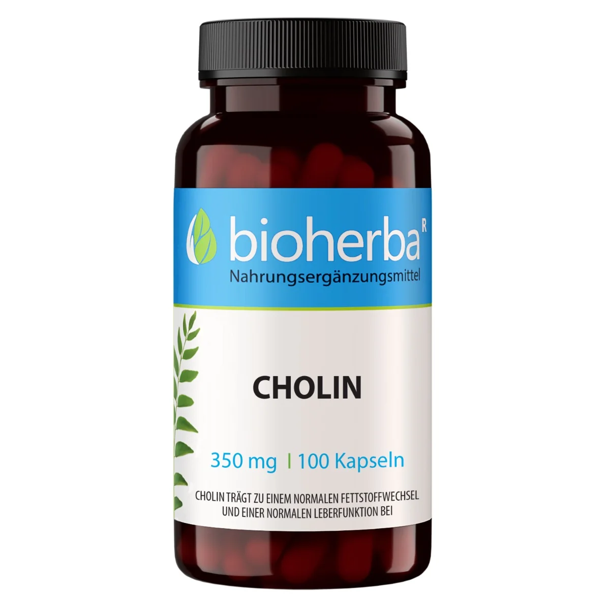 Cholín 350 mg - 100 kapsúl - Bioherba