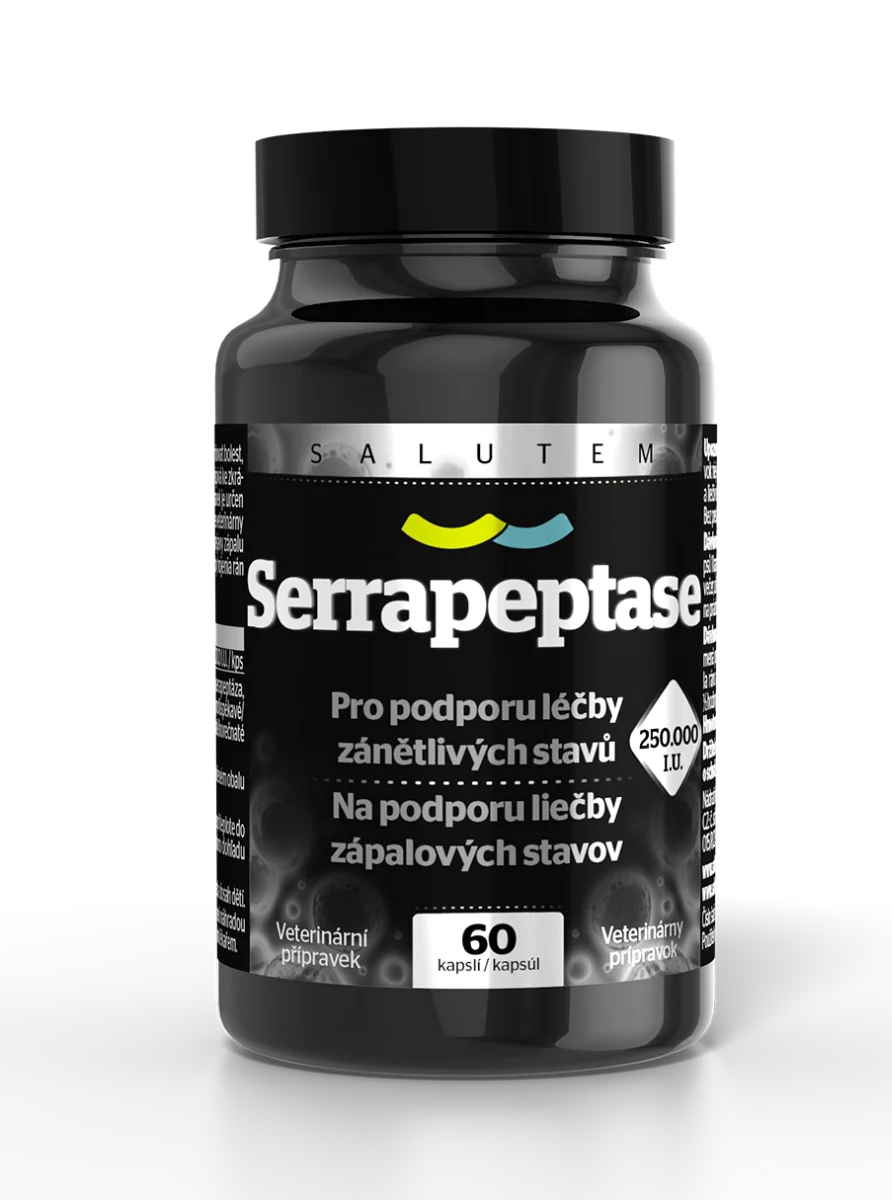 Serrapeptase 250 000 I.U. SALUTEM 1×60 cps, prírodný enzým