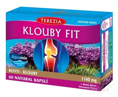 TEREZIA KĹBY FIT 1×60 cps, výživový doplnok