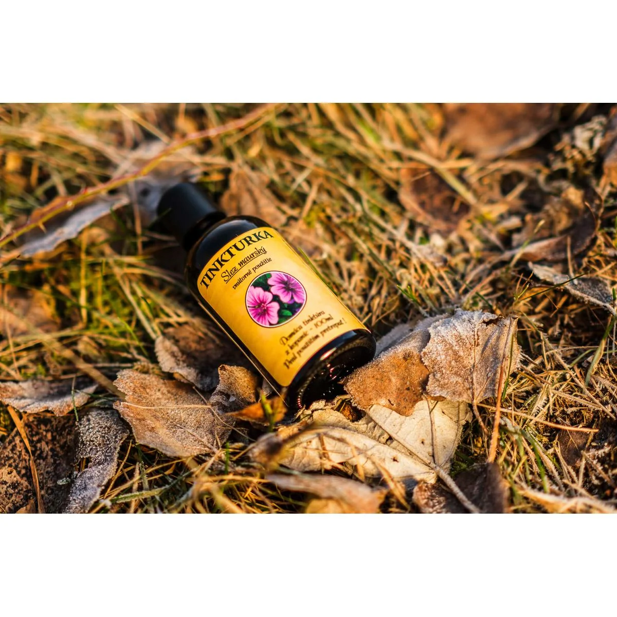TINKTURKA - Slez maurský 100ml