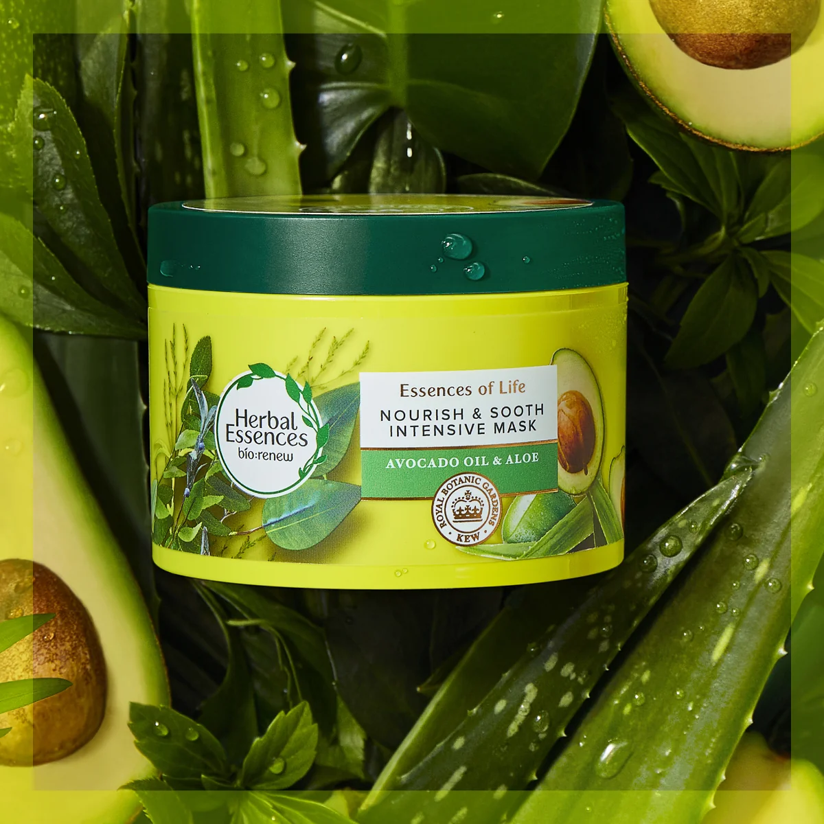 Herbal Essences Vyživujúca Maska Na Suché Vlasy A Pokožku Hlavy Pure aloe&Avocado 1×450ml, maska na vlasy