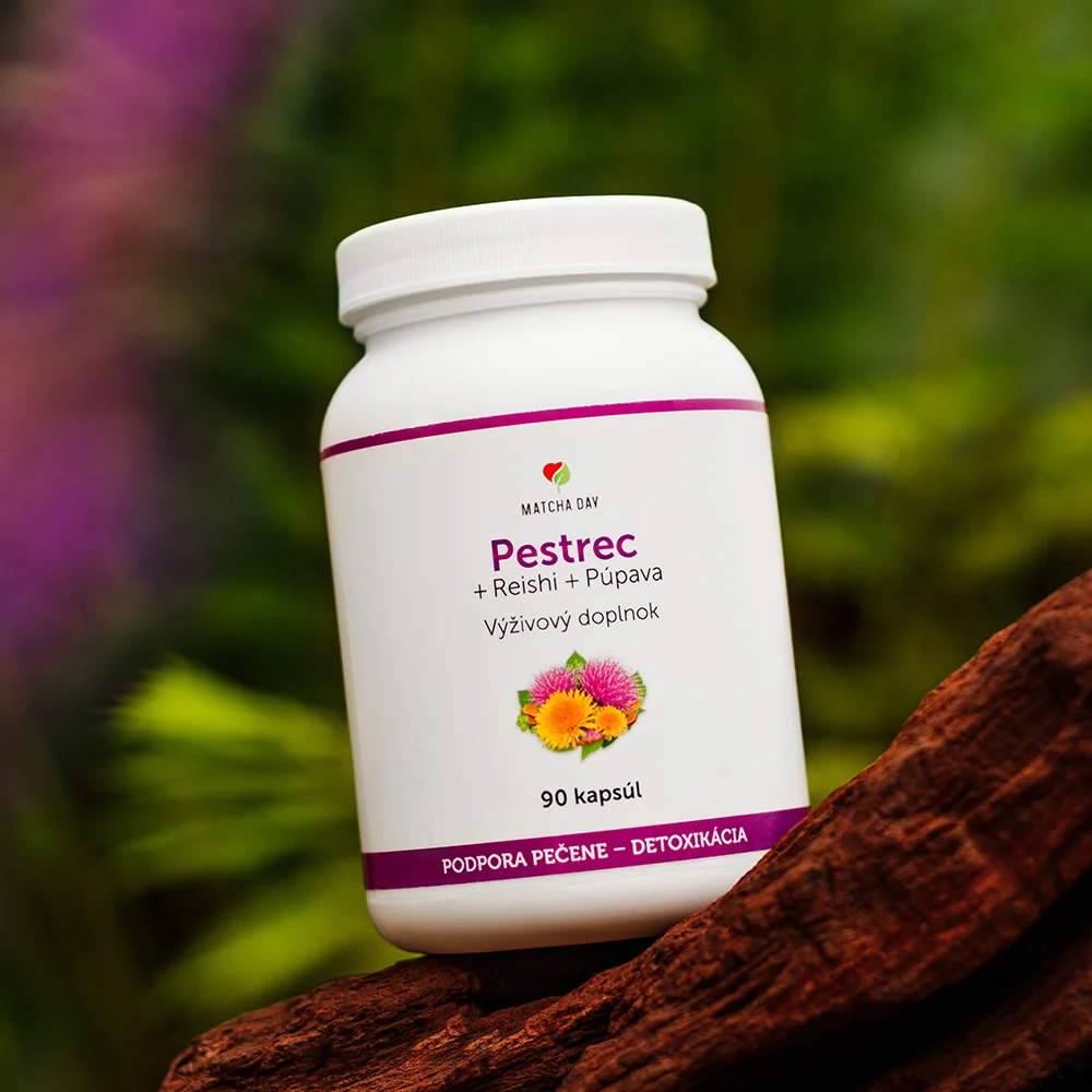 MatchaDay - Pestrec + Reishi + Púpava 90 kapsúl 1x 90 cps pestrec reishi, výživový doplnok