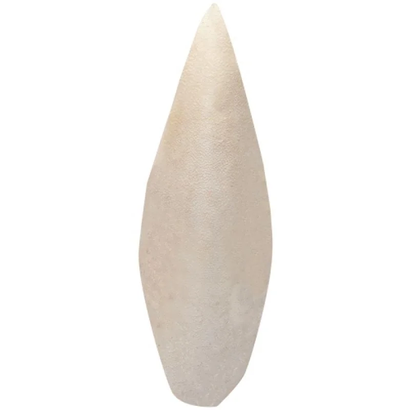 HOBBY Sepia Bone- sépiová kosť + / - 20-25 cm 2ks