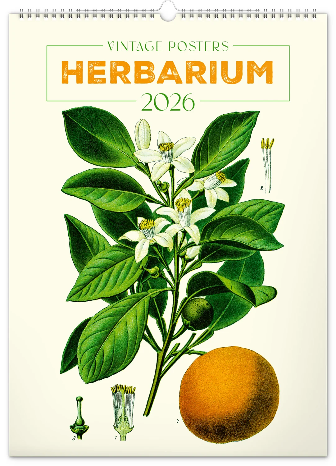 NOTIQUE Nástenný kalendár Vintage plagáty – herbár 2026, 33 × 46 cm