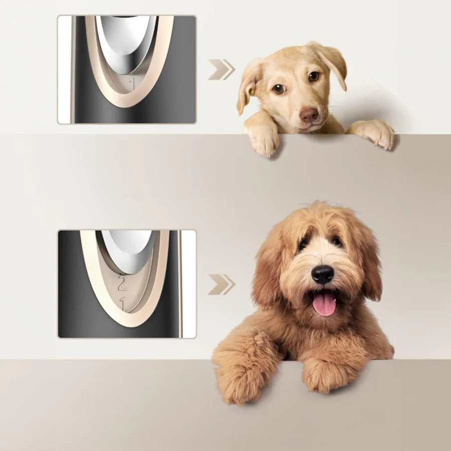 Strihací strojček na srsť zvierat 6 nadstavcov, Pet Grooming, Gold