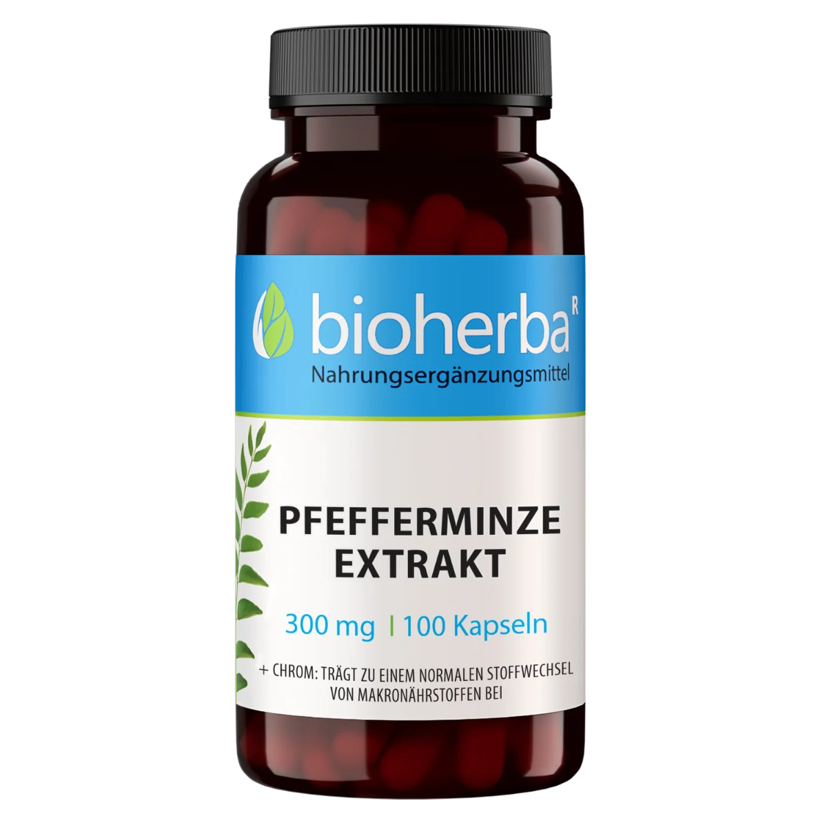 Extrakt z mäty piepornej 300 mg – 100 kapsúl – Bioherba