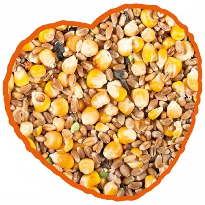 DUVO+ Kŕmna zmes pre hydinu s kukuricou 20kg