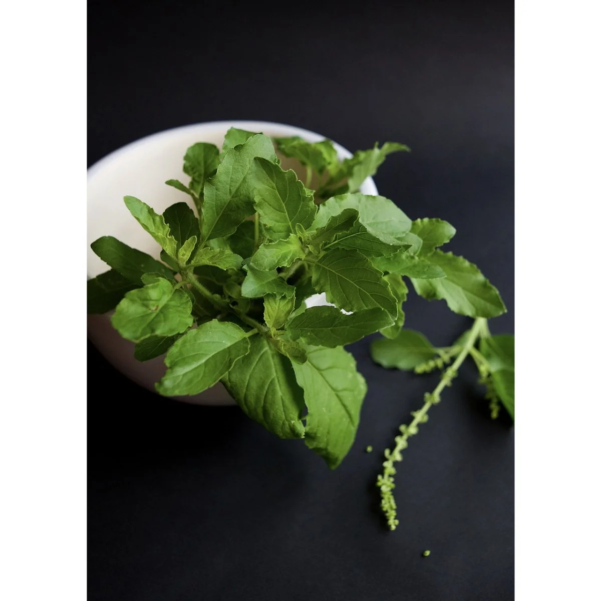 Ajurvédska káva TULSI 100 g
