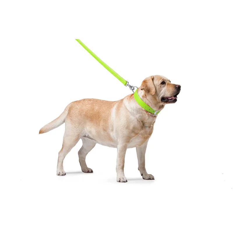 Ploché kožené vodítko zelenej farby 122cm, šírka: 12 mm