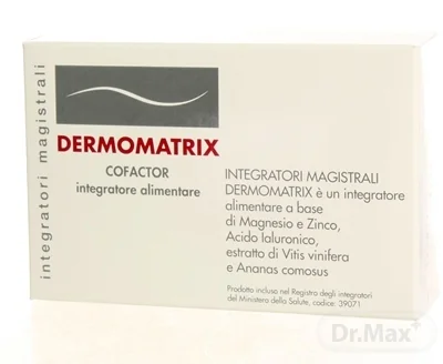 DERMOMATRIX integratori magistrali 1×20 ks, výživový doplnok