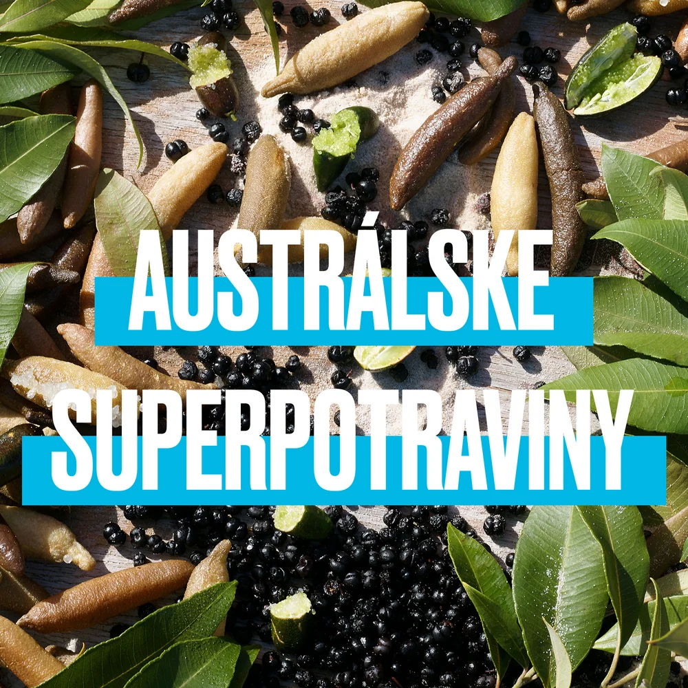 Aussie SOS Save My Lengths! Kondicionér Na Poškodené Vlasy 1×200ml, kondicionér na poškodené vlasy