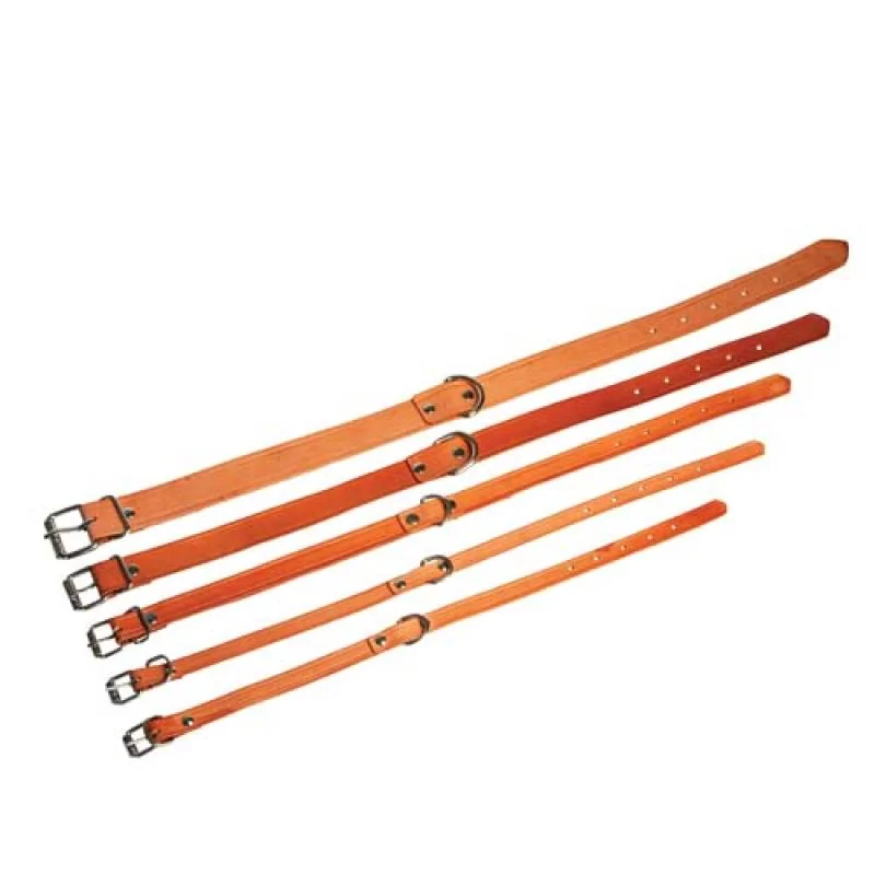 COBBYS PET Obojok  z pravej kože 55cm/25mm prírodná hnedá