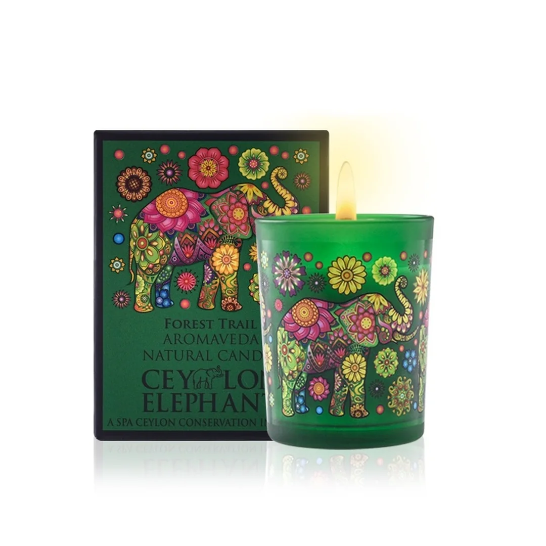 Prírodná aromatická sviečka Forest Trail 50 g, mäta