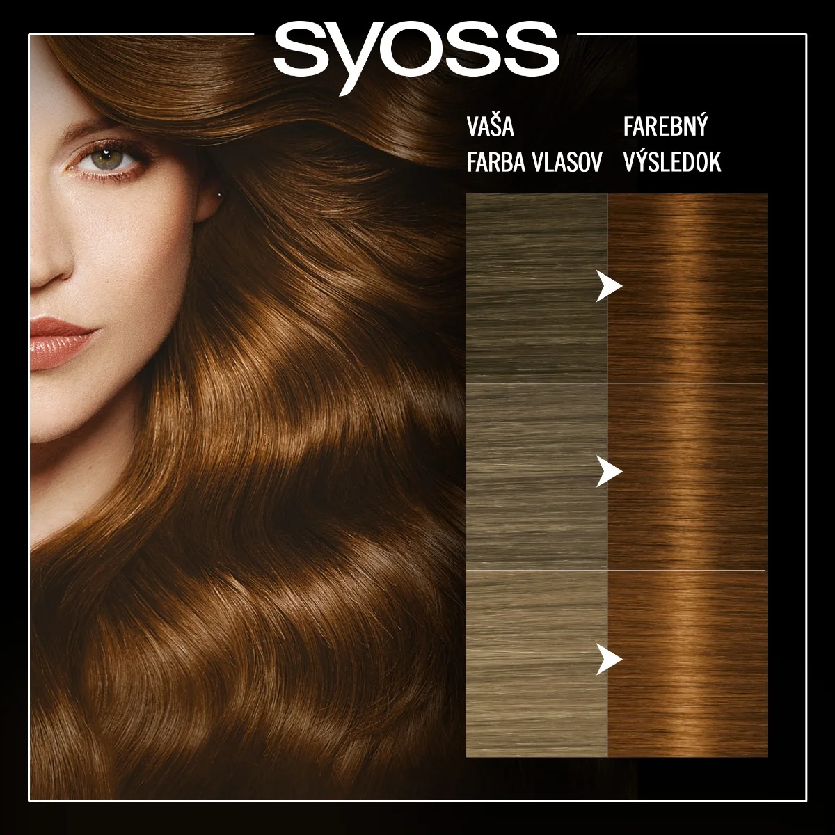 Syoss Oleo Intense Farba na vlasy teplý medený 6-76 1×1 ks, farba na vlasy