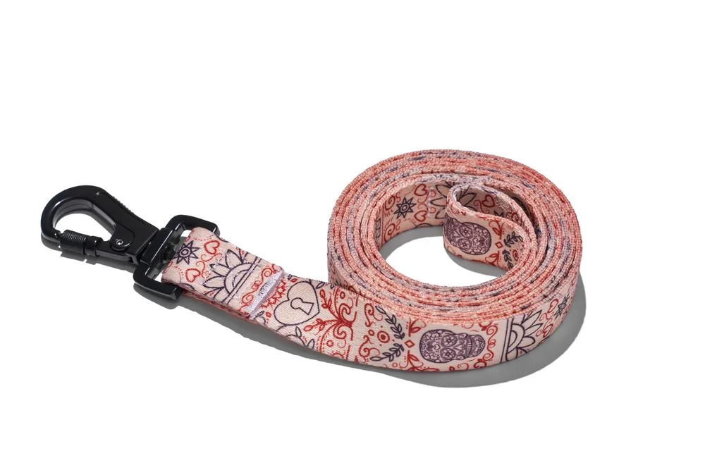 EXPLORER DOG Vodítko Srdce L - 170x2, 5 cm 1×1 ks, vodítko pre psa