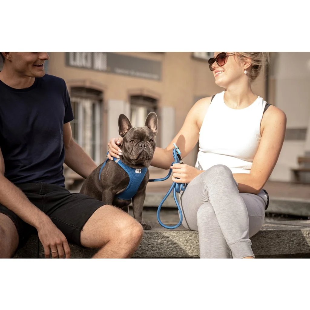 Vodítko pre psov Comfort Skyblue M