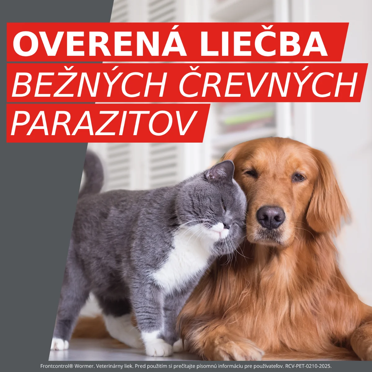 Frontcontrol® Wormer 230/20mg tablety pre mačky 2 tbl