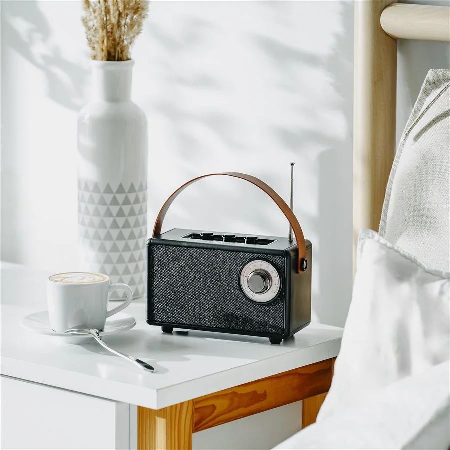 Rádio s Bluetooth Camry CR 1902 čierne