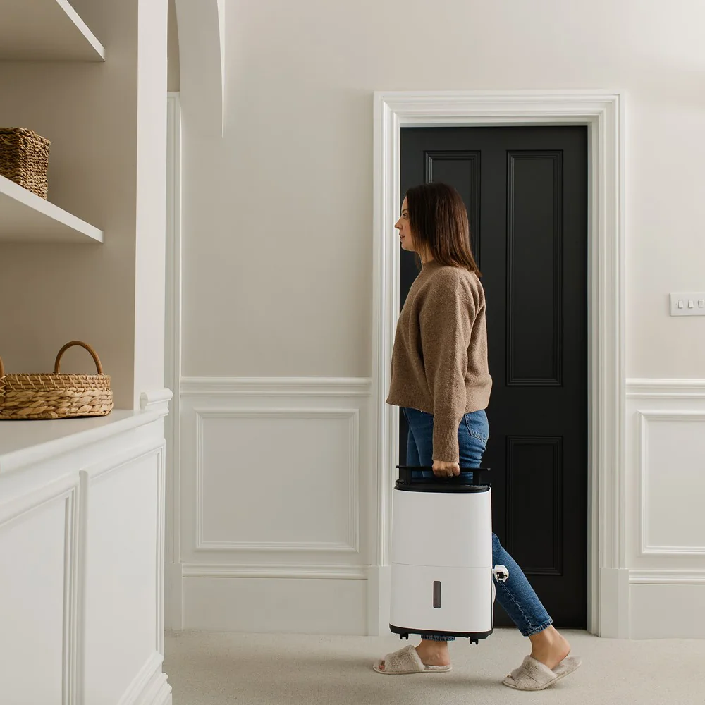 Odvlhčovač s čističkou vzduchu Dry Arete® One 10 L
