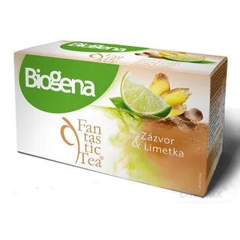 Biogena Fantastic Tea Zázvor & Limetka 20×2 g (40 g), ovocný čaj