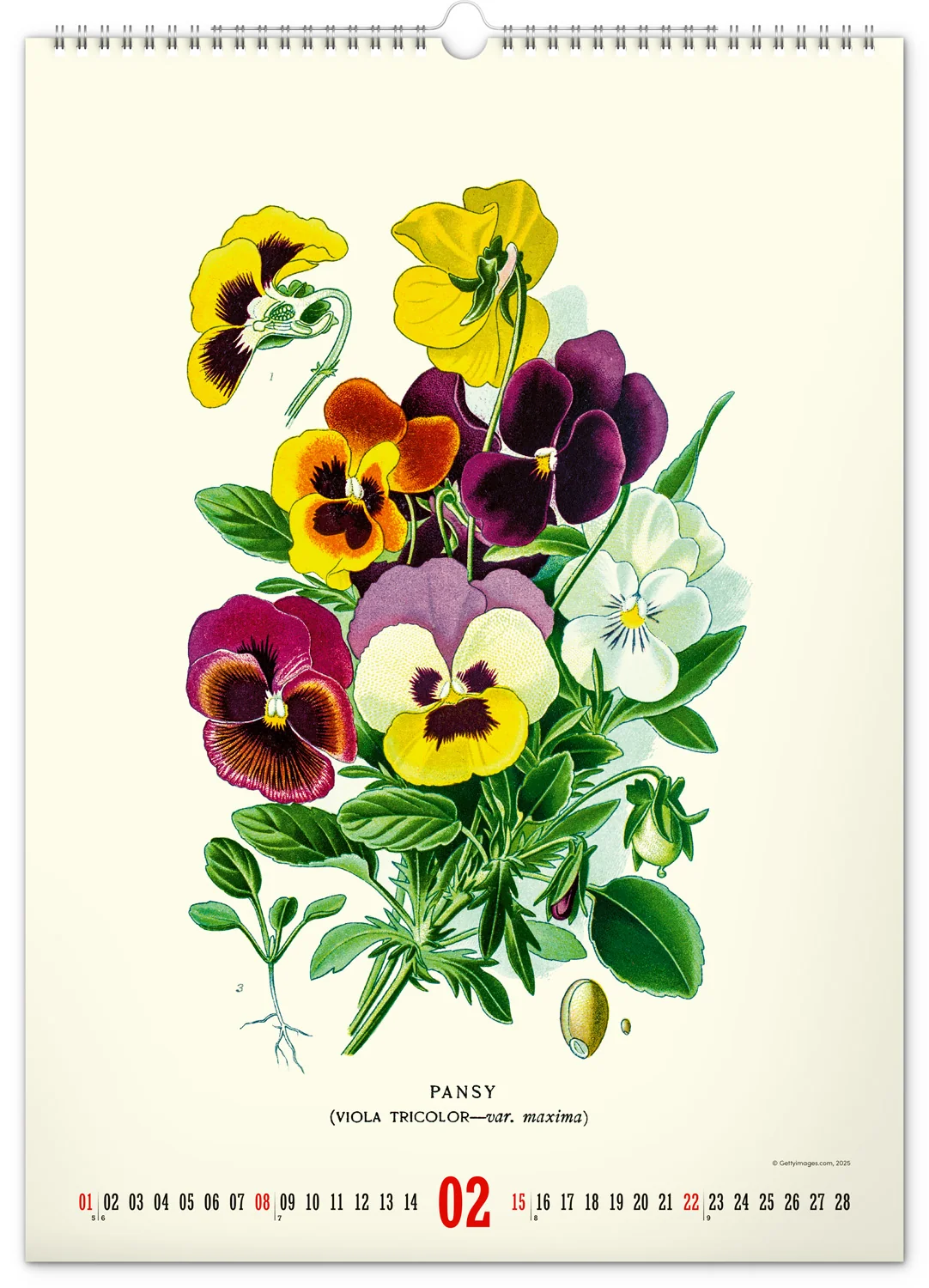 NOTIQUE Nástenný kalendár Vintage plagáty – herbár 2026, 33 × 46 cm