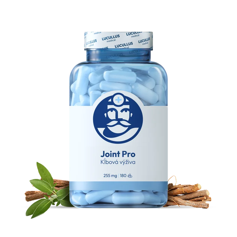 Dr. LUCULLUS Joint Pro 180 kapsúl Kĺbová výživa