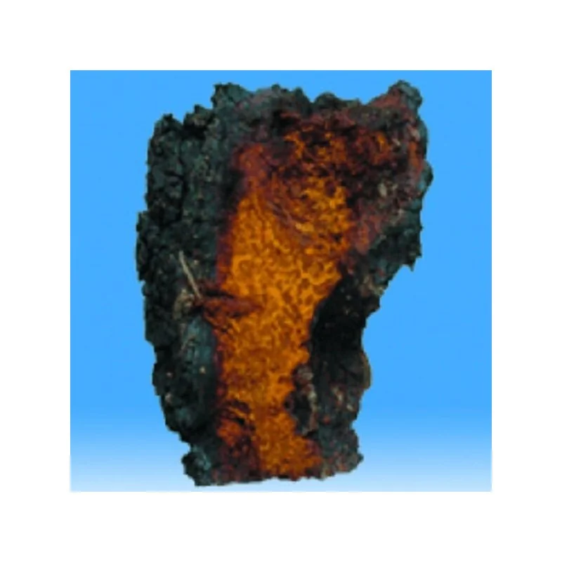 CHAGA Ryšavec šikmý 90 tabl. po 500 mg biomasy