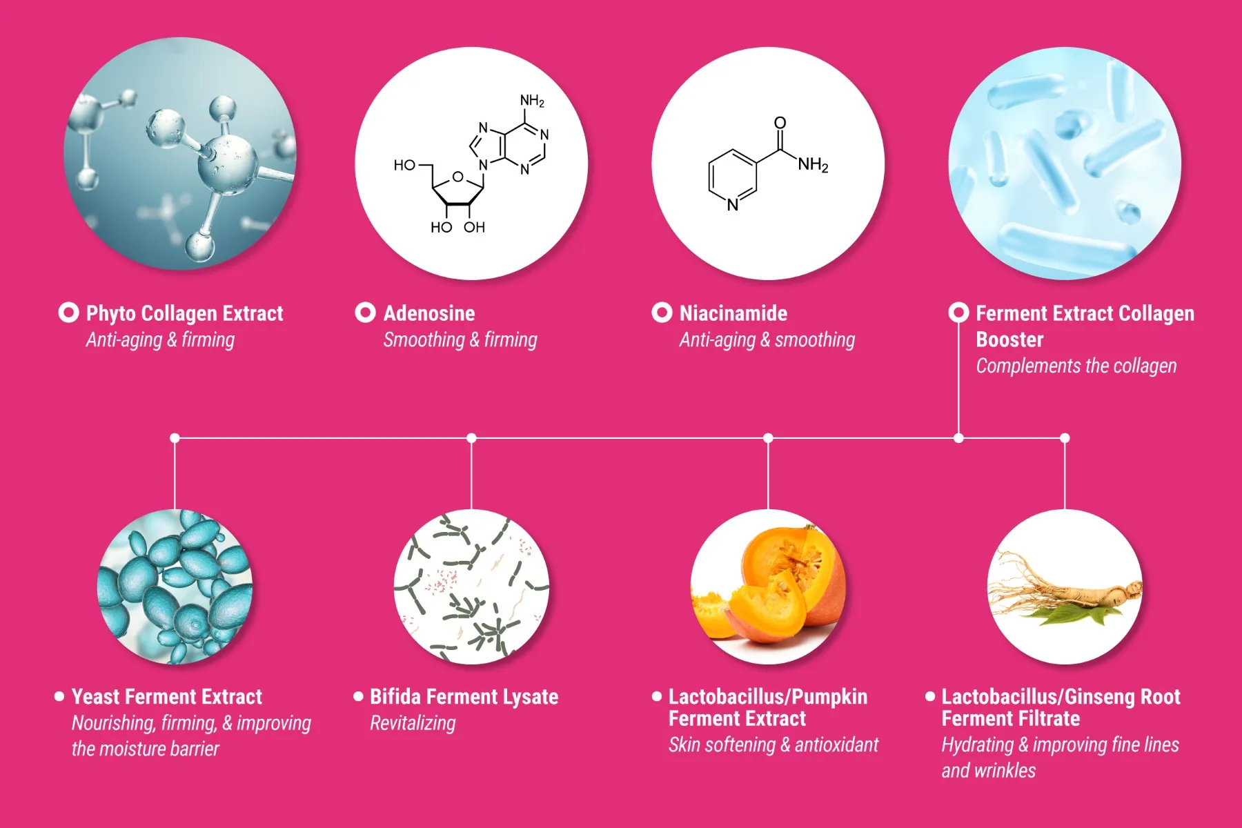 PHYTO COLLAGEN ČISTIACA PENA 1×1 ks